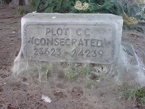 consecrated
