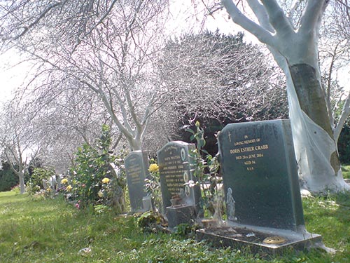 grave view spoiled