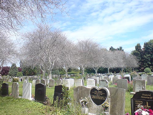 grave view 