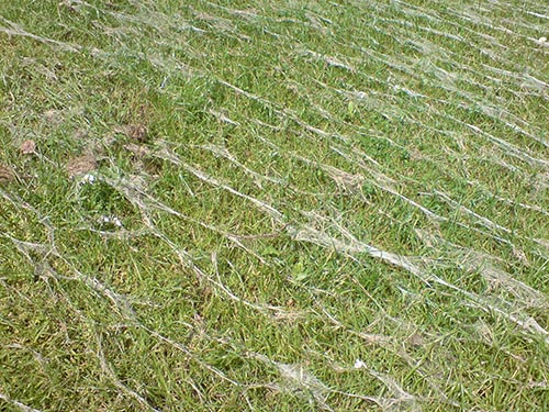 ground