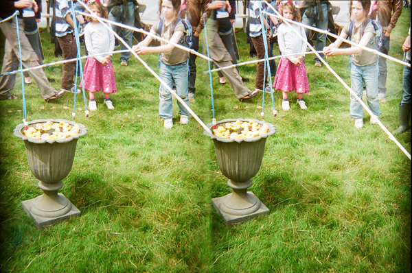 stereoscope