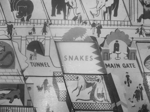 snakes
